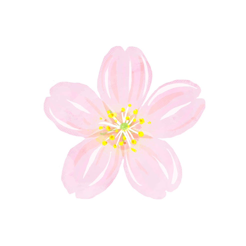 桜の花びら